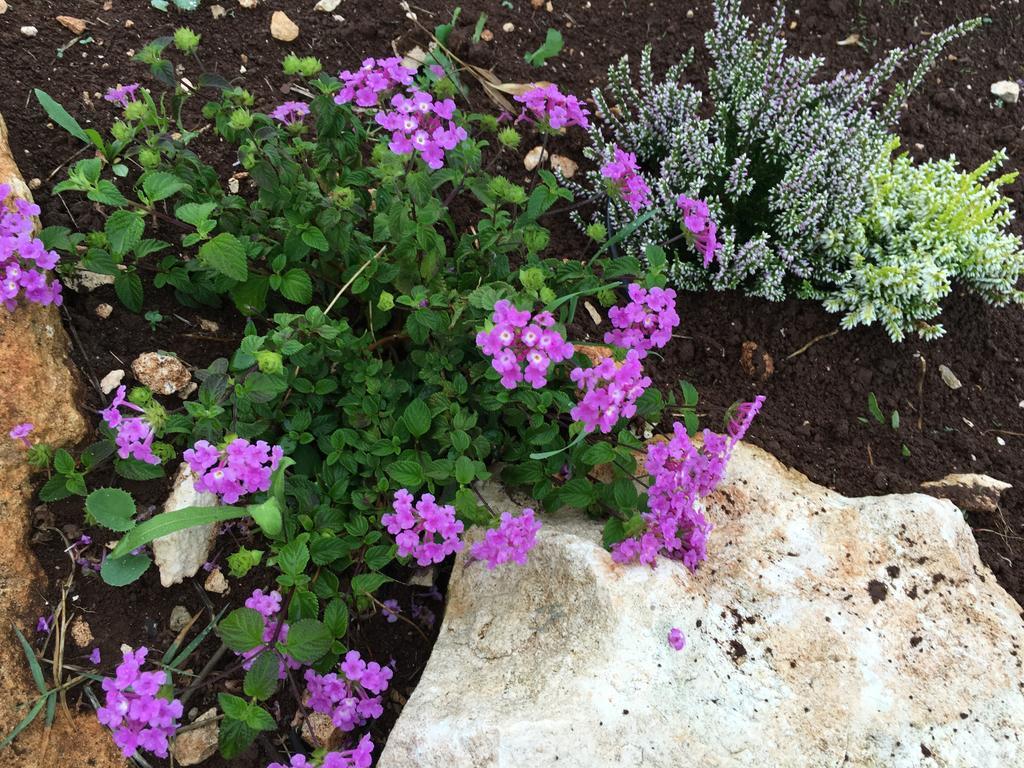 הוילה מרטינה פרנקה Trulli Relais Casa Gemma מראה חיצוני תמונה