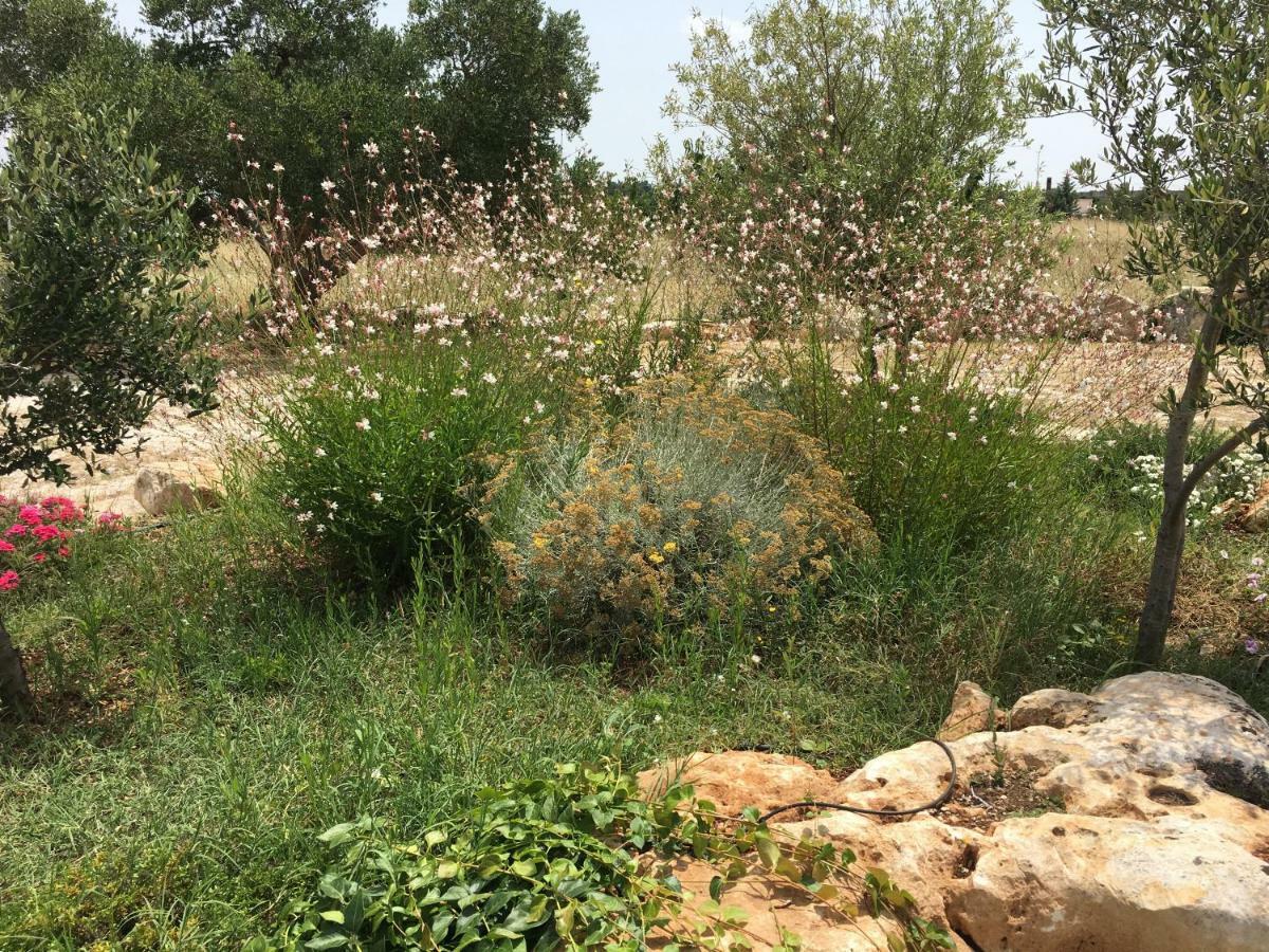 הוילה מרטינה פרנקה Trulli Relais Casa Gemma מראה חיצוני תמונה